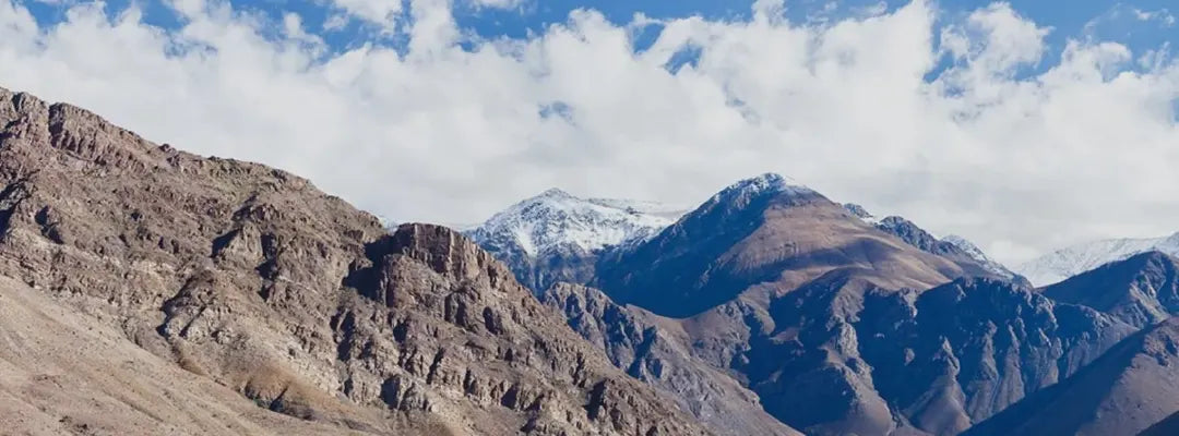 Viñedos al pie de la cordillera en un valle del norte de Chile
