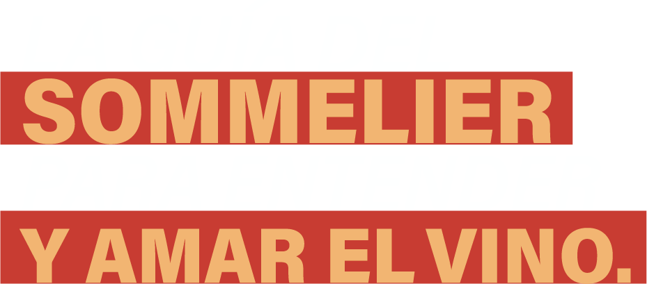 La guía del sommelier para entender y amar el vino