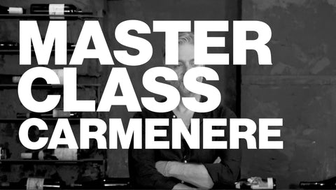 Masterclass Carmenere - Curso Online Vino - La Guía del sommelier para entender y amar el vino - Ricardo Grellet