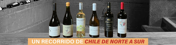 Banner - Curso Online - Entiende Chile país de vino - Ricardo Grellet