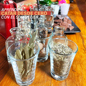 Aprende a catar desde cero con el sommelier - PrimarioEd