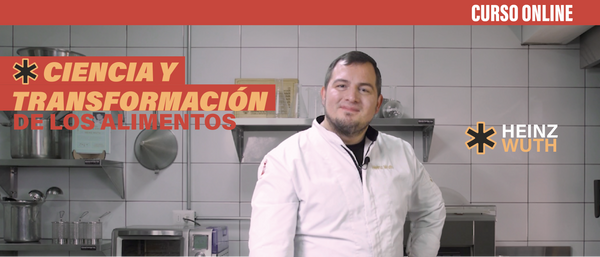 Curso online ciencia y transformación de los alimentos - Heinz Wuth