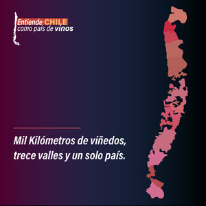 Curso online: Entiende Chile como país de vinos - PrimarioEd