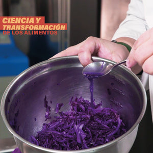 Ciencia y transformación de los alimentos - PrimarioEd