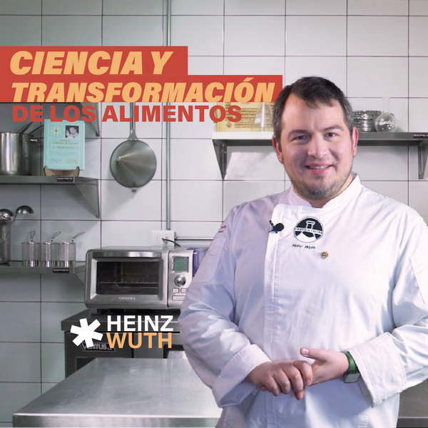 Ciencia y transformación de los alimentos - PrimarioEd