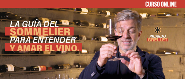 Curso online la guía del sommelier - Ricardo Grellet