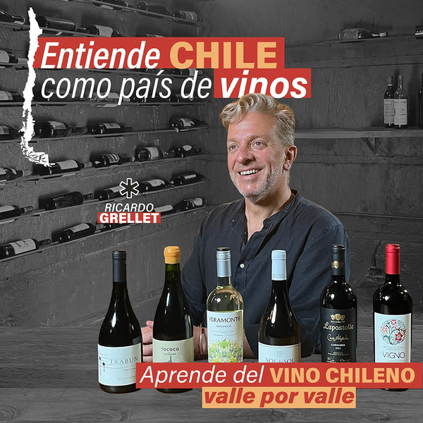 Curso Online - Entiende Chile como país de vinos - Ricardo Grellet