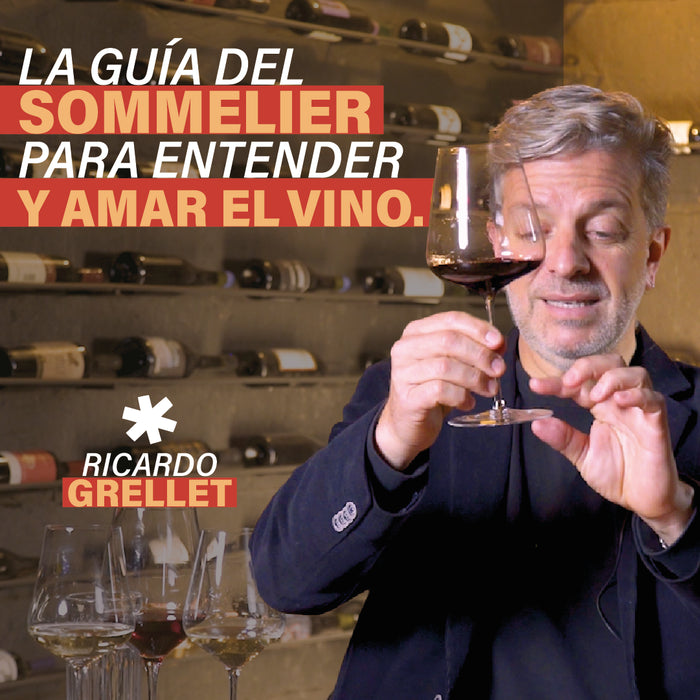 La Guía del Sommelier para entender y amar el vino
