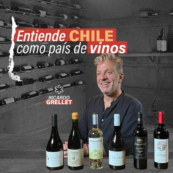 Pack 3 cursos del Sommelier