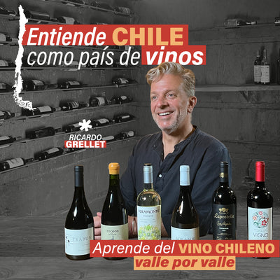 Curso online: Entiende Chile como país de vinos