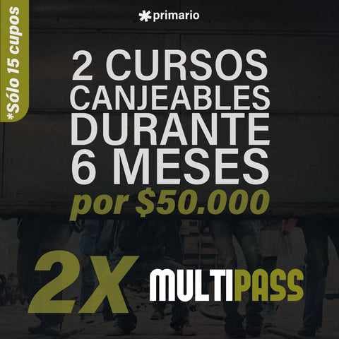 2 x Mulipass - pack 2 cursos online - 15 cupos - canjeables - 6 meses 