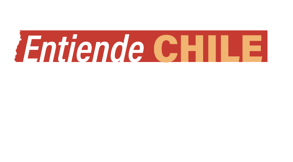 Entiende Chile como país de vinos